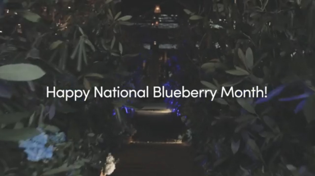 Guests join the Blueberry Council to celebrate National Blueberry Month in partnership with No Kid Hungry at Gallow Green in New York City.