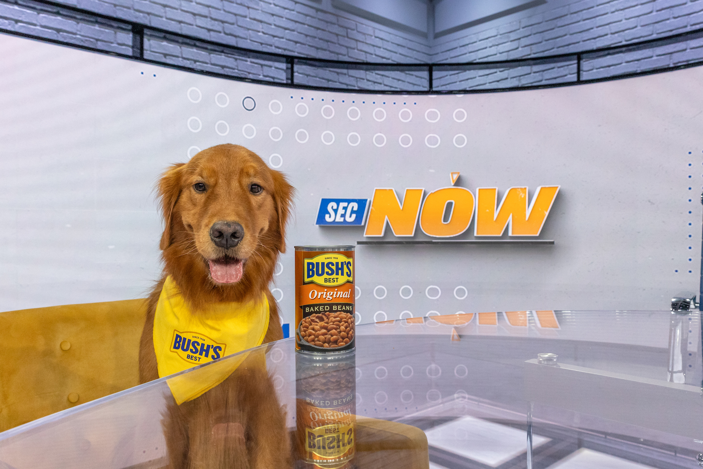 There's a new dawg in town. Bush's Beans announced its sponsorship of The Southeastern Conference as the "Official Beans of the SEC" with help from spokes dog, Duke, and SEC Network personality, Laura Rutledge.