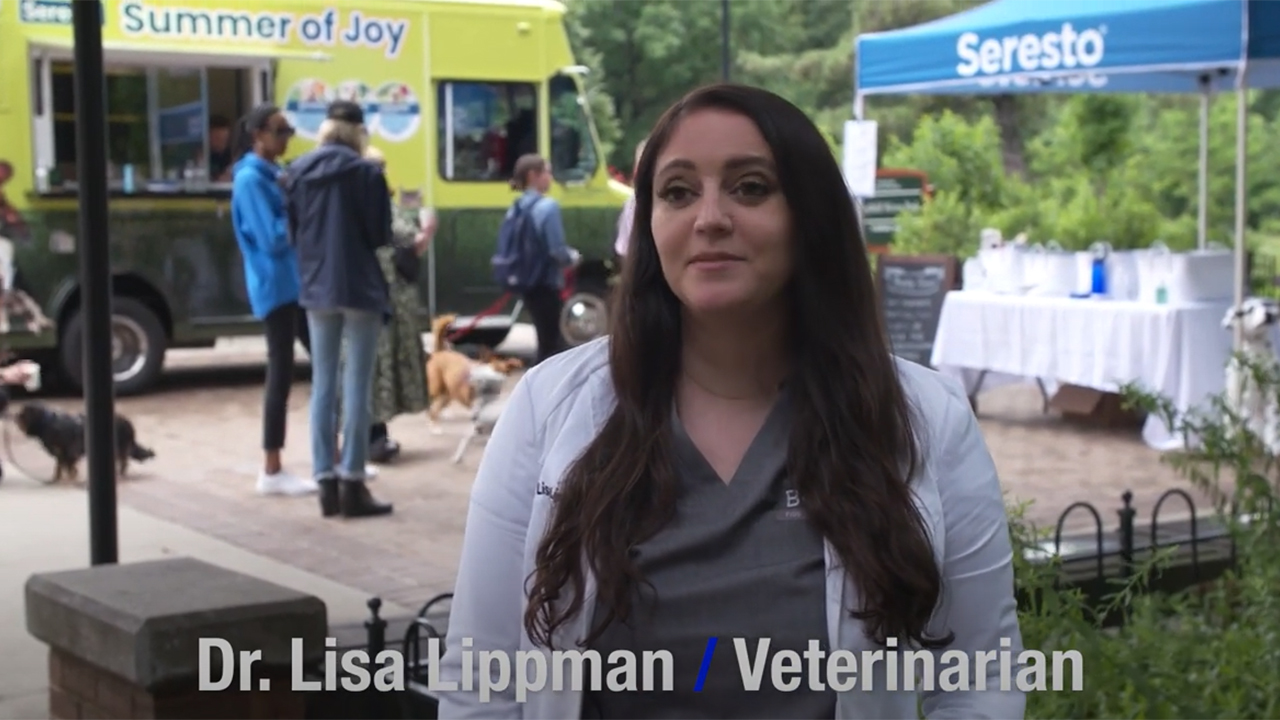 Play Video: Ask Veterinarian Dr. Lisa Lippman: Does the collar need to be worn at all times, year round?