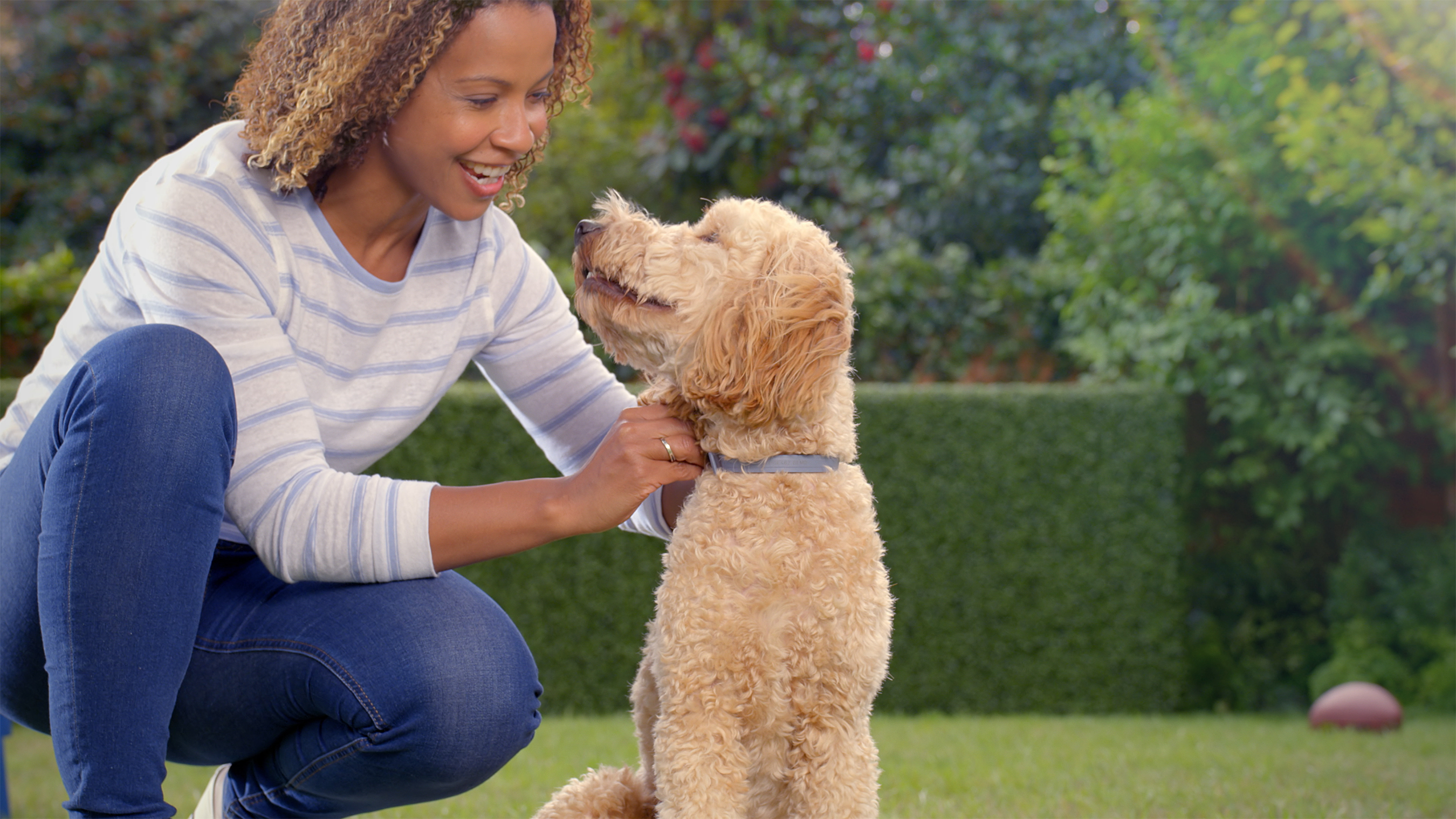 There are so many fun activities to enjoy with your pet at this time of year, from autumn hikes to celebrating Halloween. To enjoy these joyful moments pest-free, let’s clear up some common flea and tick myths.
