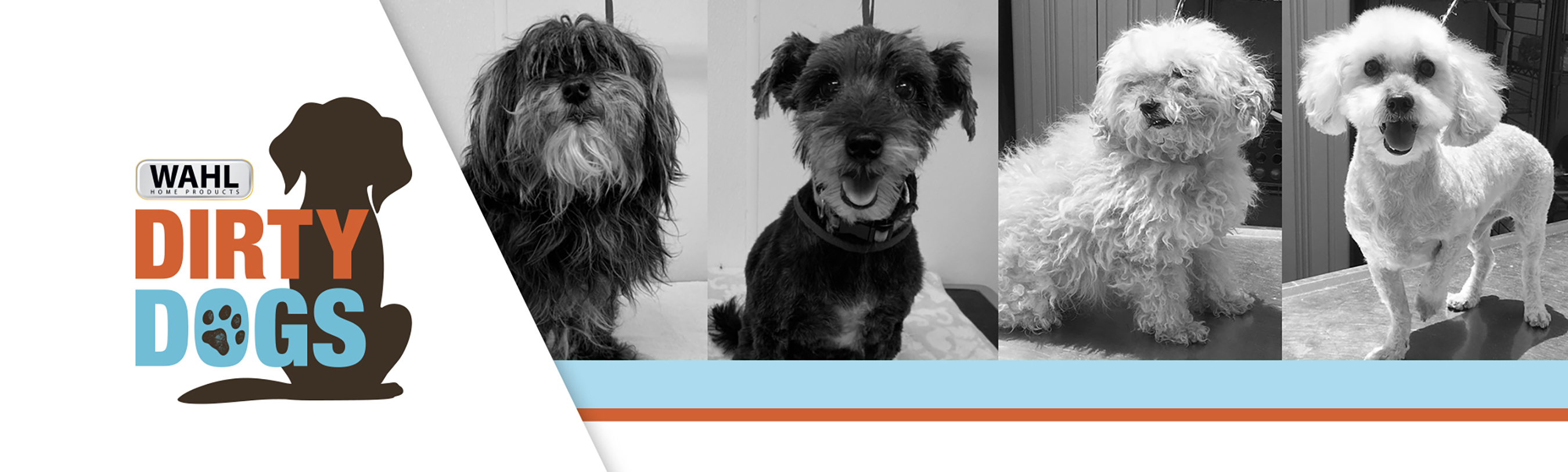 PRESENTING AMERICA’S TOP 10 SHELTER DOG MAKEOVERS OF 2022
