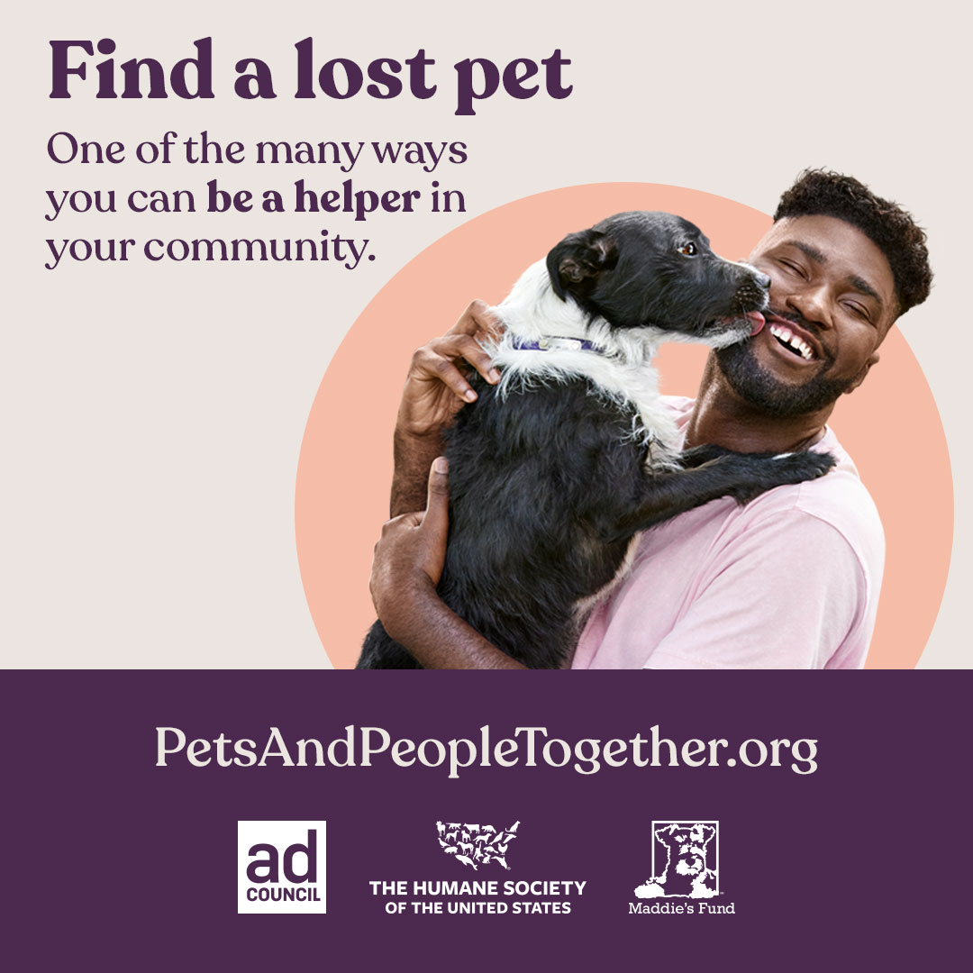 The Ad Council, the Humane Society of the United States and Maddie's Fund®  launch new PSA campaign focused on keeping 'Pets and People Together'