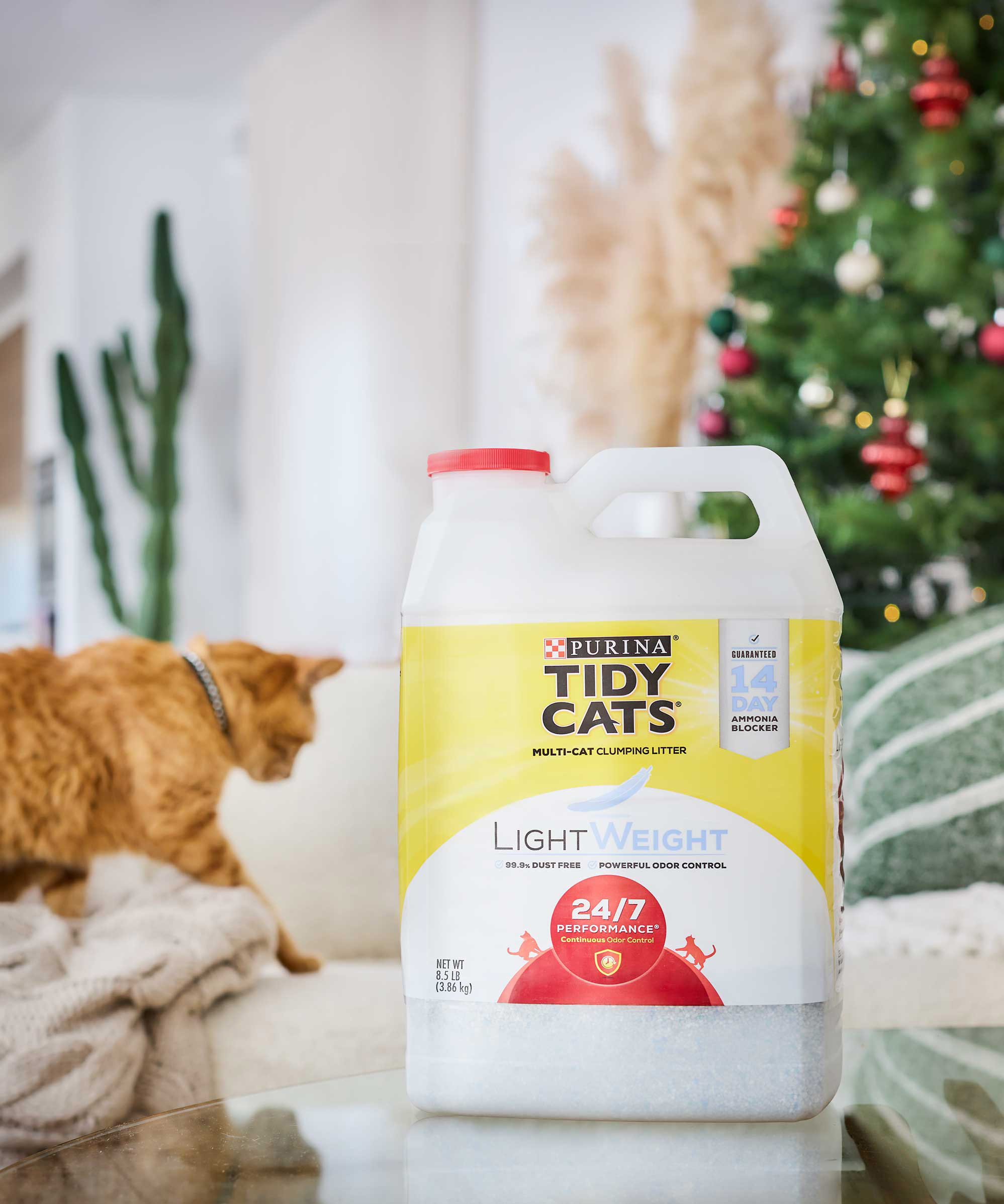 When it comes to the litter box, keep odors at bay and clean-up easy with Tidy Cats Lightweight Litter, which is 99.9% dust-free and features continuous odor control plus a clean linen scent.
