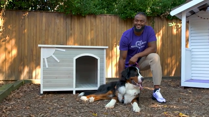 PURINA AND REDROVER TAKE THE FIELD WITH WASHINGTON COMMANDERS' JAMES SMITH-WILLIAMS TO SUPPORT DOMESTIC VIOLENCE SURVIVORS AND PETS DURING MY CAUSE MY CLEATS CAMPAIGN
