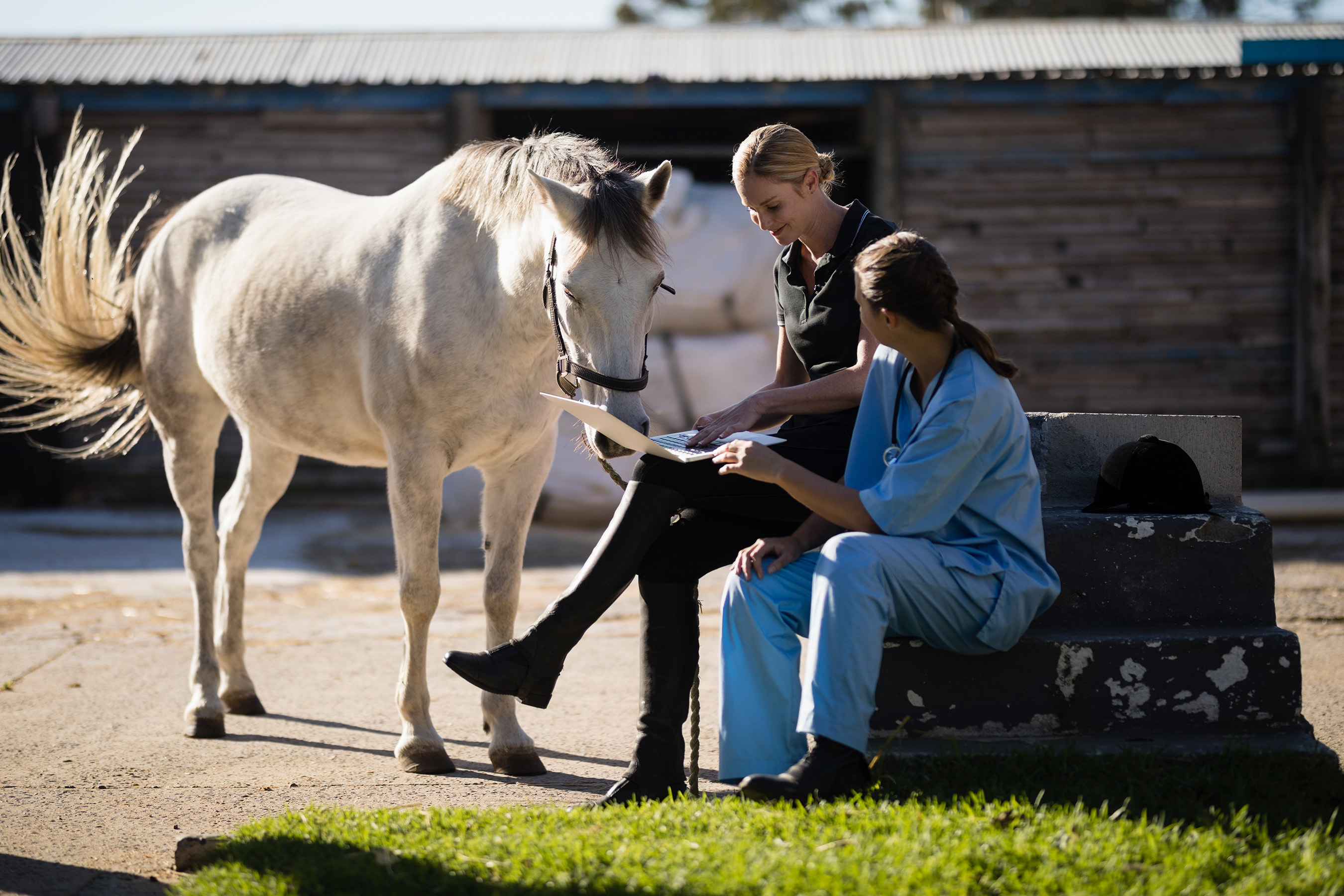 CareCredit’s contactless payment solution brings point-of-care innovation to equine veterinary practices and makes it easier for veterinarians to collect payment for services from any location.