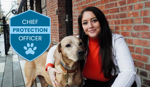 Meet the first-ever Seresto® Chief Protection Officer Dr. Lisa Lippman, D.V.M., renowned veterinarian and pet advocate.