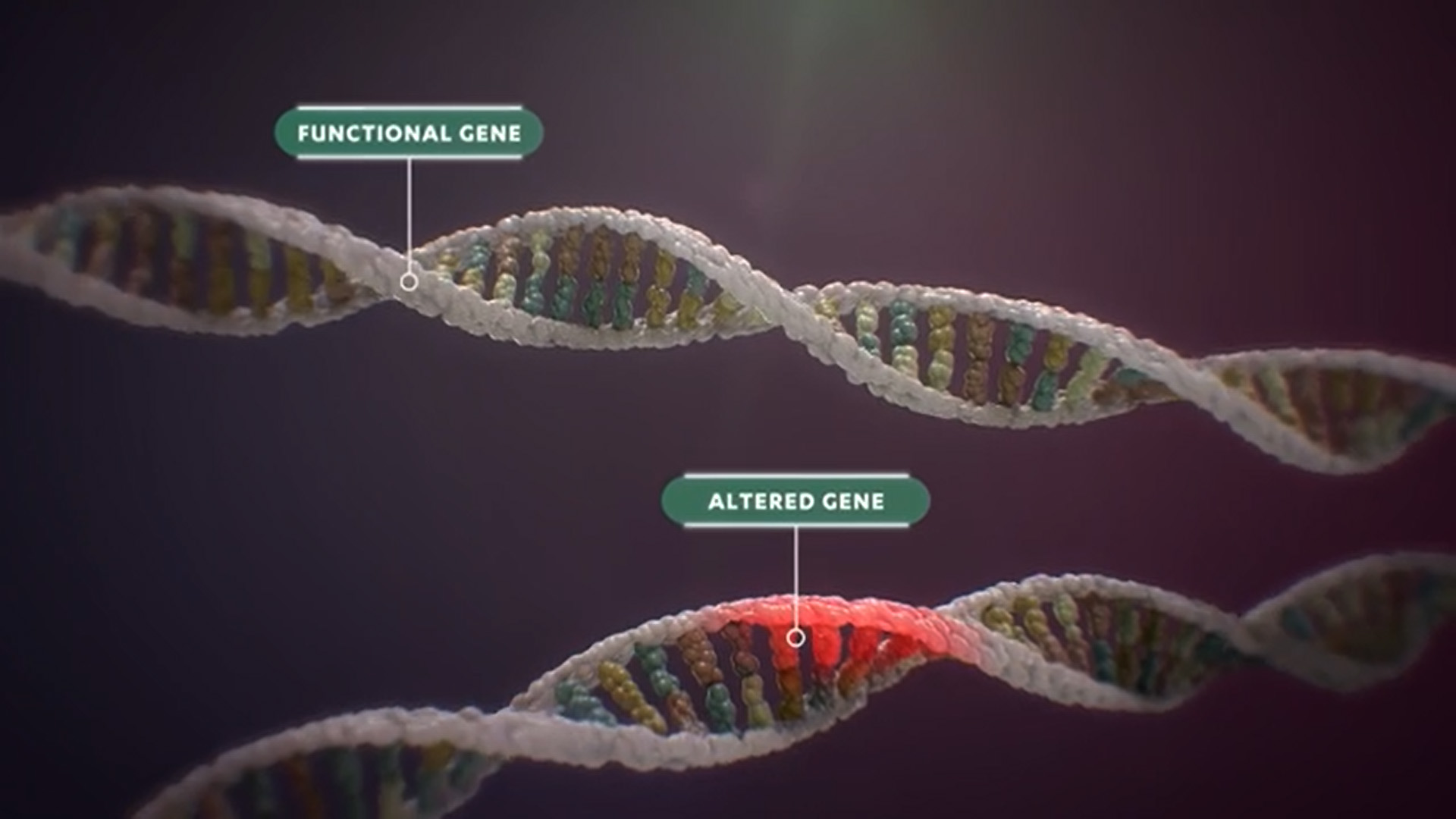 Play Video: Gene Therapy Video Clip