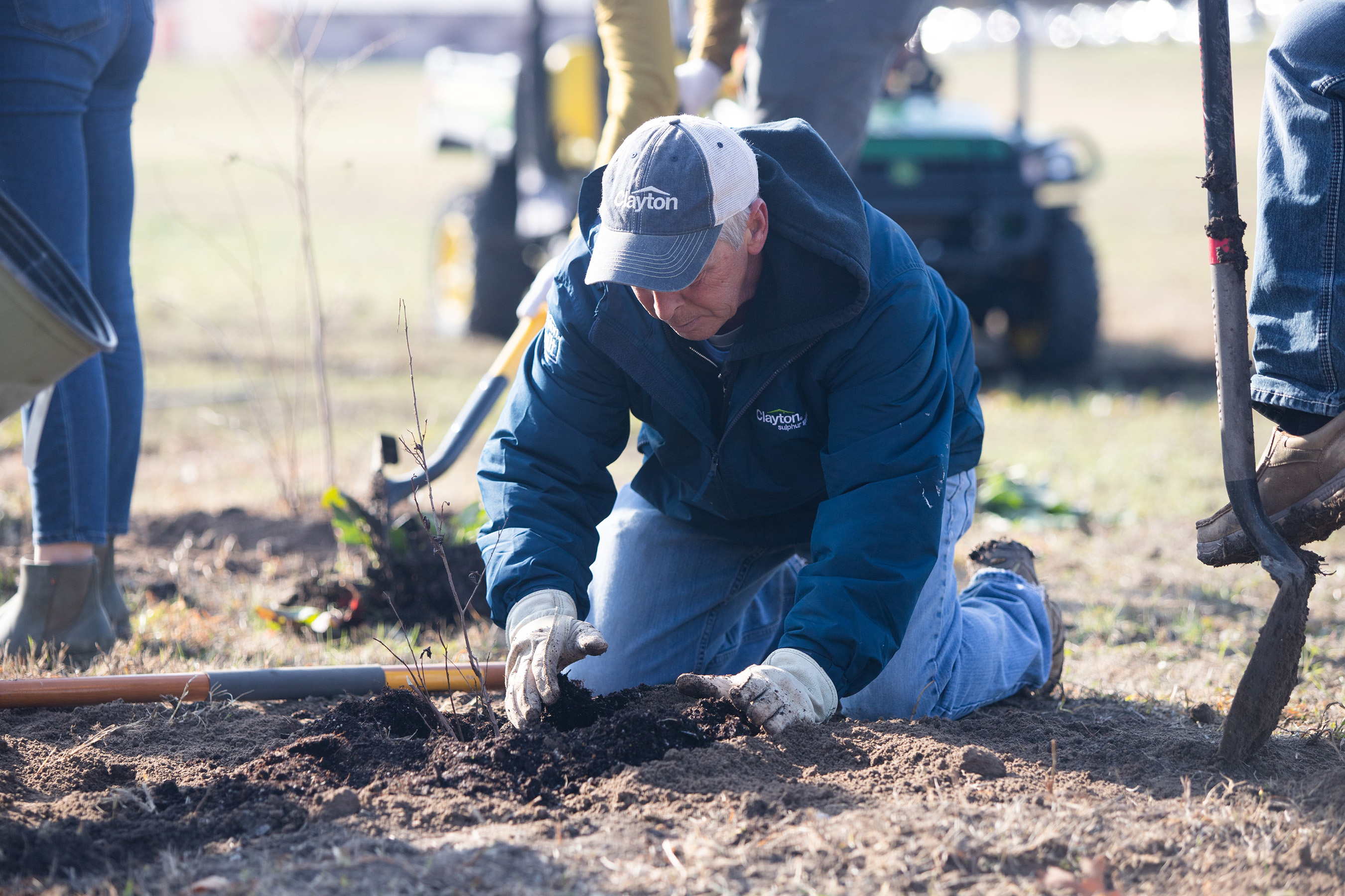Clayton team members have used their Volunteer Time Off in several ways like planting trees to help the local ecosystem.