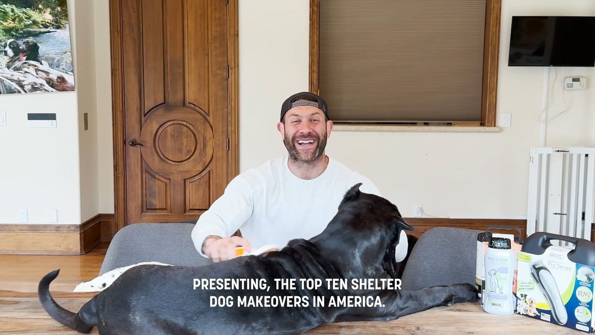 Animal advocate Lee Asher partners with Wahl to spread awareness about the importance of grooming when it comes to dog adoption. The 13th annual Dirty Dogs Contest awards grants to shelters.