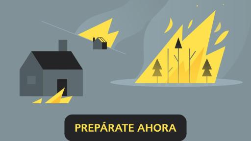 Web Banner – incendios forestales