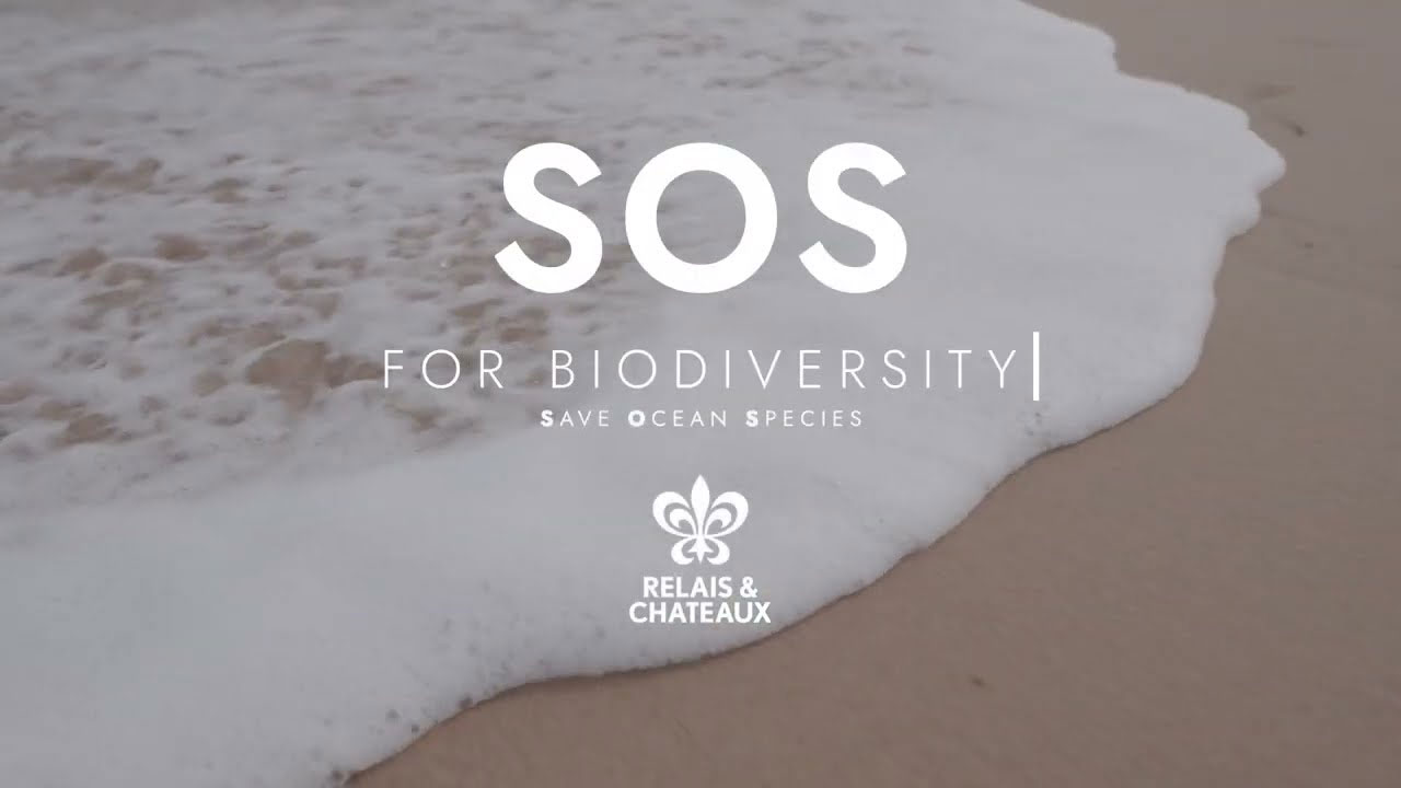 Sos Biodiversité Graines Gratuites