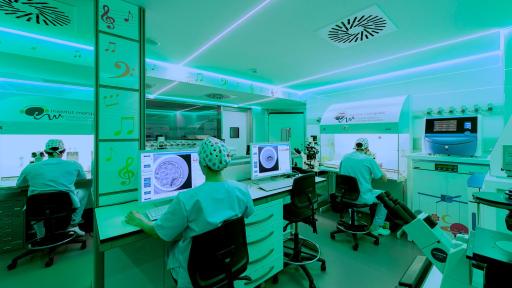 Laboratorio - Il luogo dove si realizza la fecondazione in vitro (FIV).