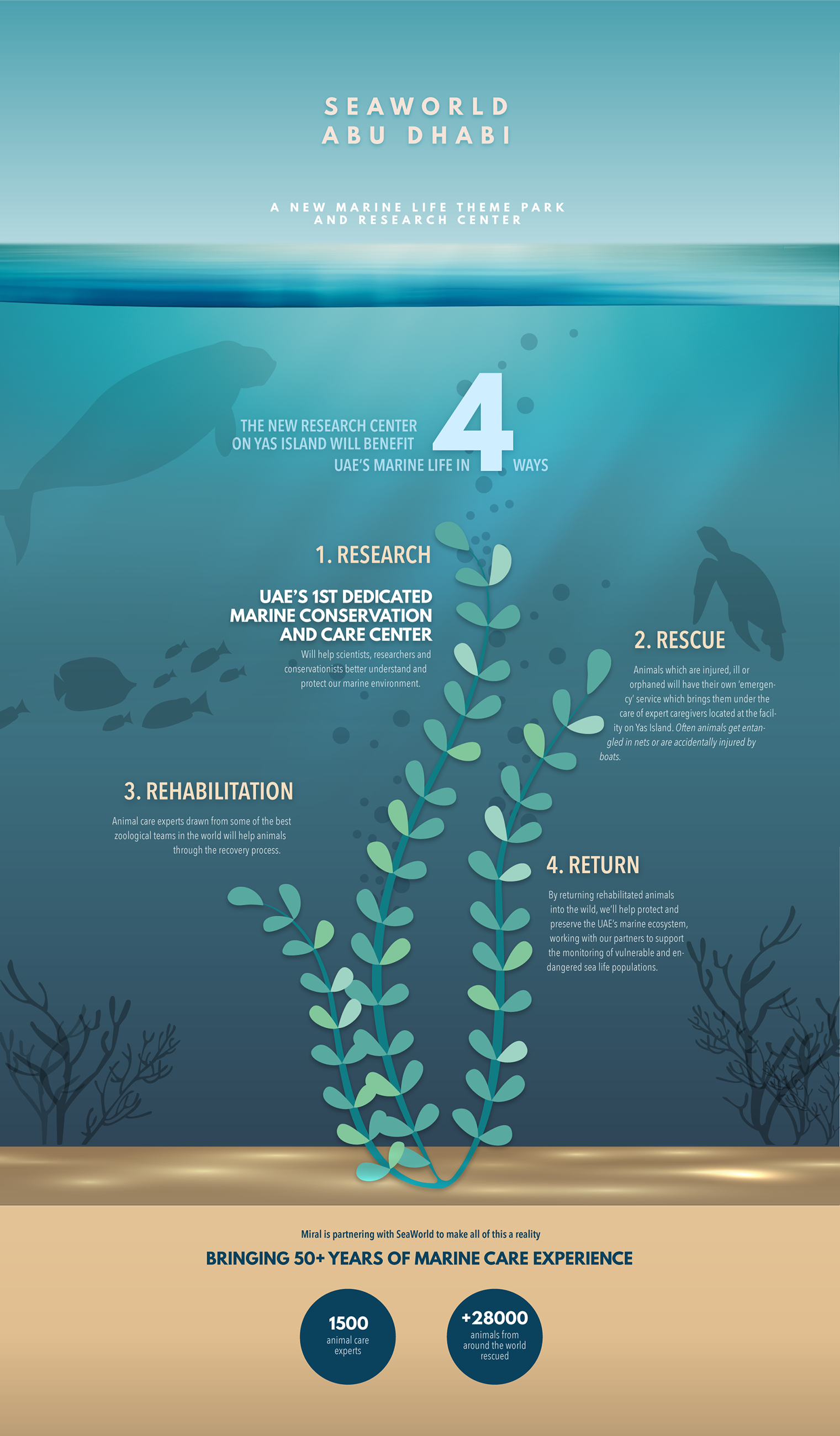 Infographic - SeaWorld Abu Dhabi (EN)