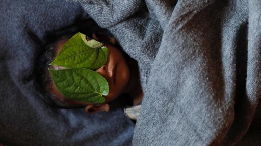 Leaves cover the eyes of 11 month old Rohingye refugee