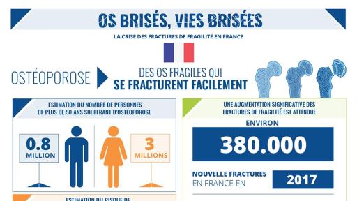 Broken Bones Broken Lives Report infographic for France