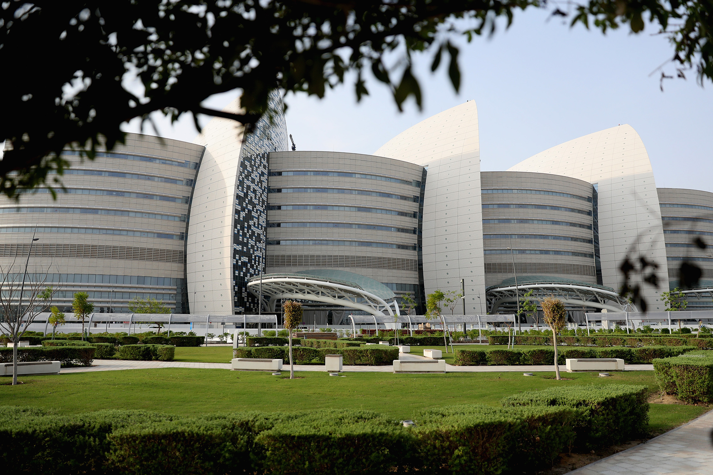 medical research in qatar