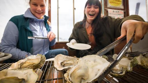 Image of people Barbecuing fresh oysters straight from the sea