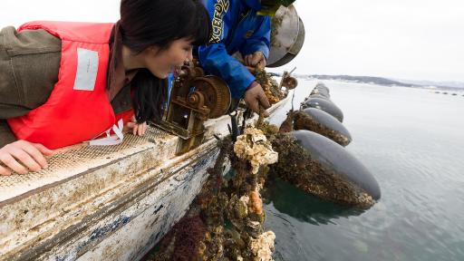 Image of the Oyster fishing experience on a boat