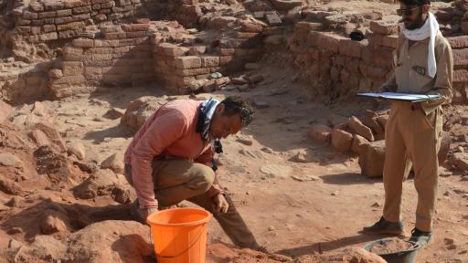 Image of Dadan Excavation