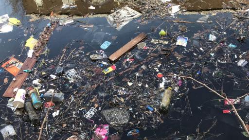 Image of Plastic Soup in the canals of Amsterdam