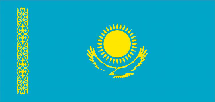 Flag logo