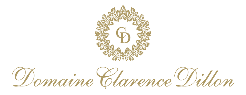 Domaine Logo