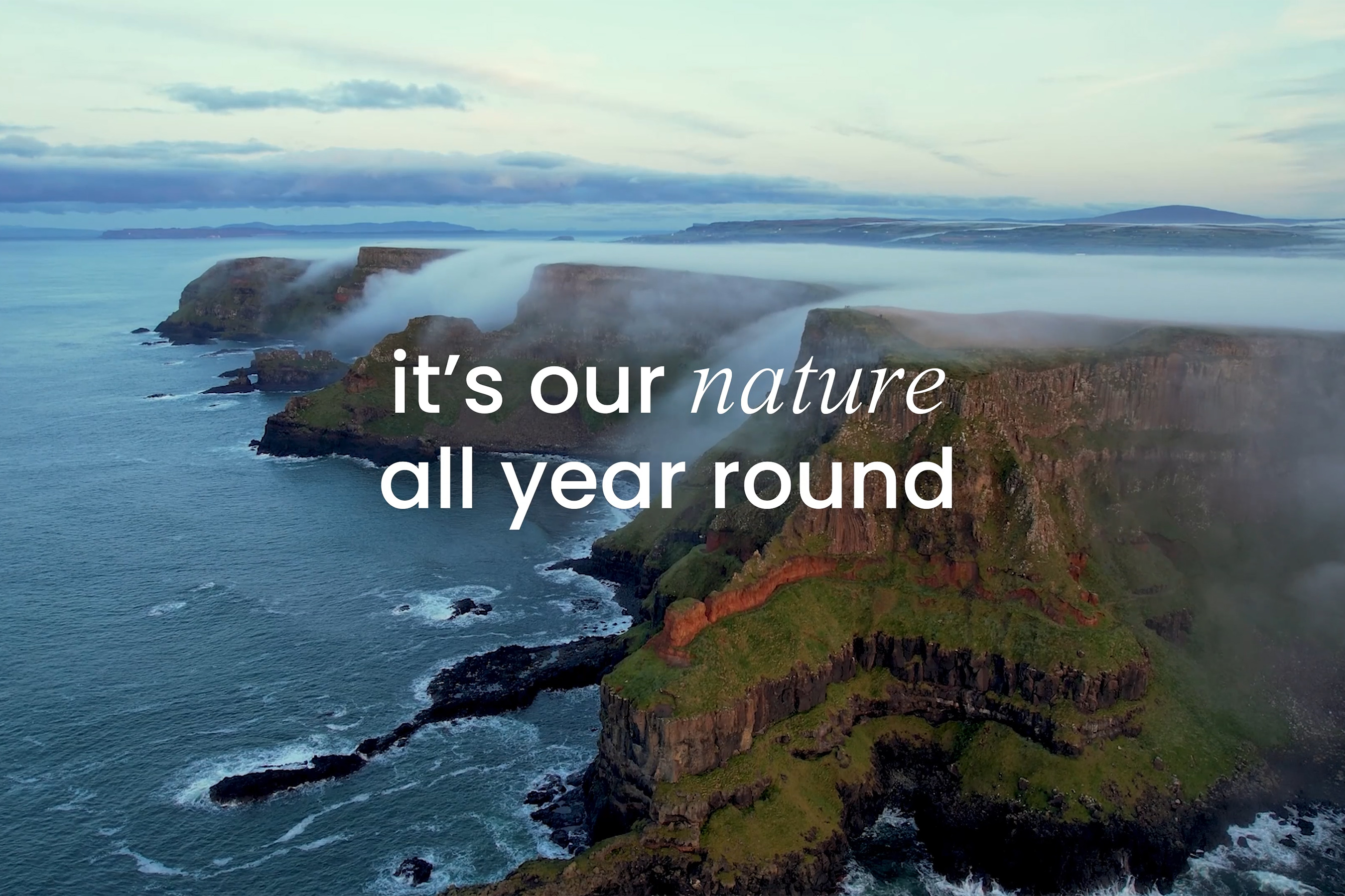 Happy St. Patrick's Day -- From the Island That Goes Beyond